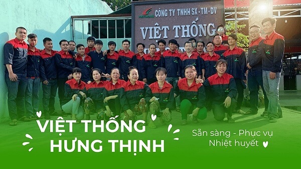 Đội ngũ nhân sự công ty Việt Thống Hưng Thịnh